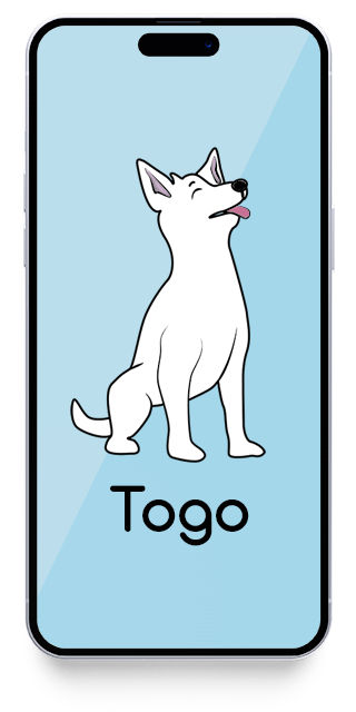 Togo phone app