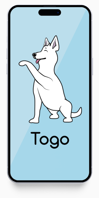 Togo phone app